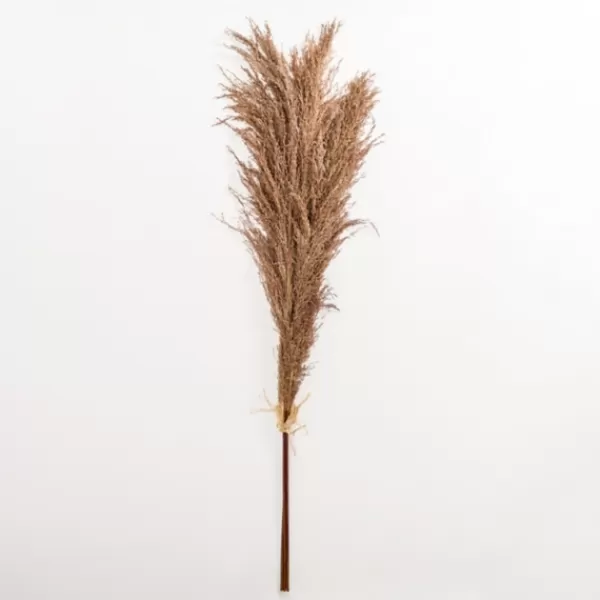 Stems & Bouquets-Kirkland's Home Nutmeg Pampas Grass Bundle Brown