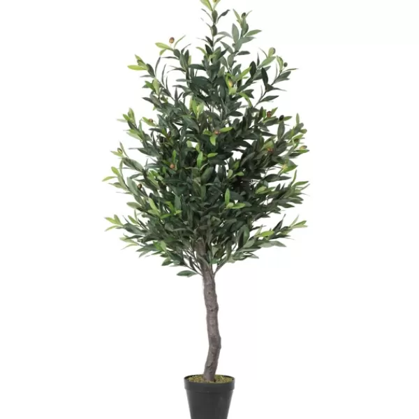 Trees & Topiaries-Kirkland's Home Olive Tree In Black Planter, 50 In.