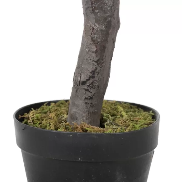 Trees & Topiaries-Kirkland's Home Olive Tree In Black Planter, 50 In.