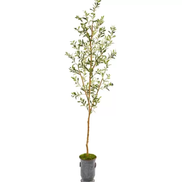 Trees & Topiaries-Kirkland's Home Olive Tree In Mossy Metal Planter