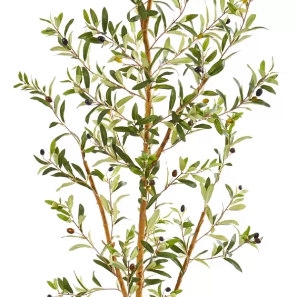Trees & Topiaries-Kirkland's Home Olive Tree In Mossy Metal Planter