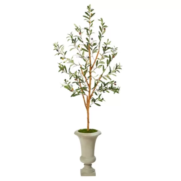 Trees & Topiaries-Kirkland's Home Olive Tree In Sandy Urn Planter