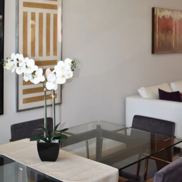 Arrangements & Greenery-Kirkland's Home Orchid Arrangement In Black Pot White/Black