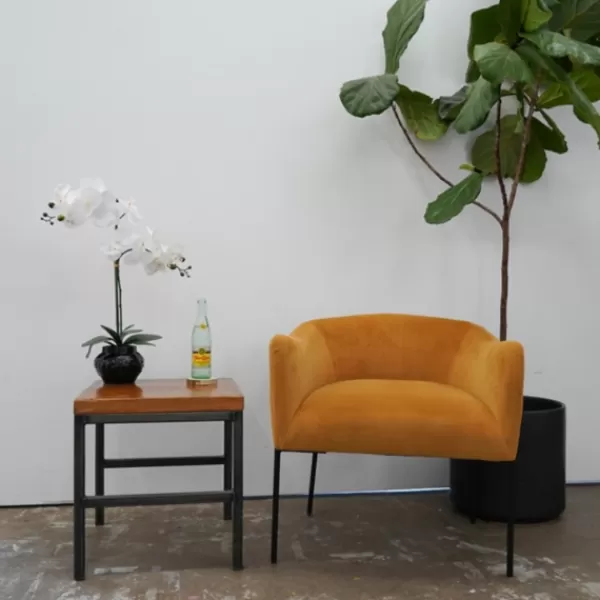 Arrangements & Greenery-Kirkland's Home Orchid Arrangement In Floral Planter Black