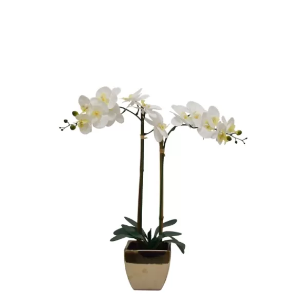Arrangements & Greenery-Kirkland's Home Orchid Arrangement In Gold Pot White/Gold