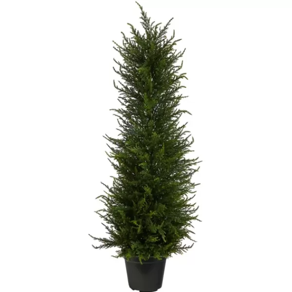 Trees & Topiaries-Kirkland's Home Outdoor Cypress Tree In Black Nursery Planter