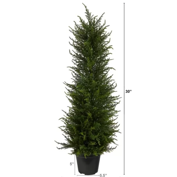 Trees & Topiaries-Kirkland's Home Outdoor Cypress Tree In Black Nursery Planter