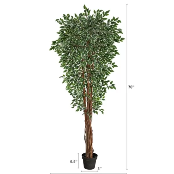 Trees & Topiaries-Kirkland's Home Outdoor Variegated Ficus Tree In Black Planter