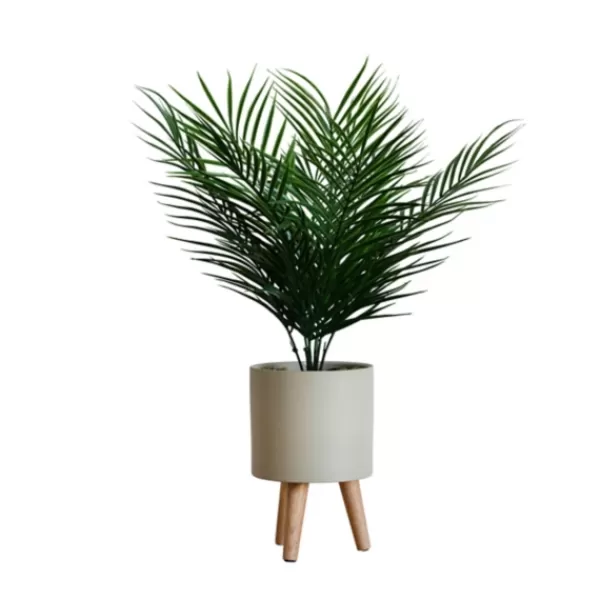 Arrangements & Greenery-Kirkland's Home Palm Arrangement In Tan Footed Pot Green/Tan