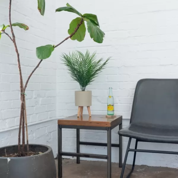 Arrangements & Greenery-Kirkland's Home Palm Arrangement In Tan Footed Pot Green/Tan