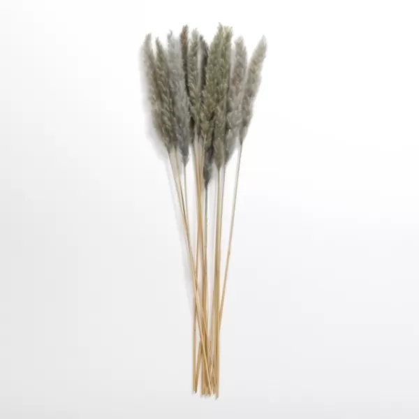 Stems & Bouquets-Kirkland's Home Pampas Bundle Gray