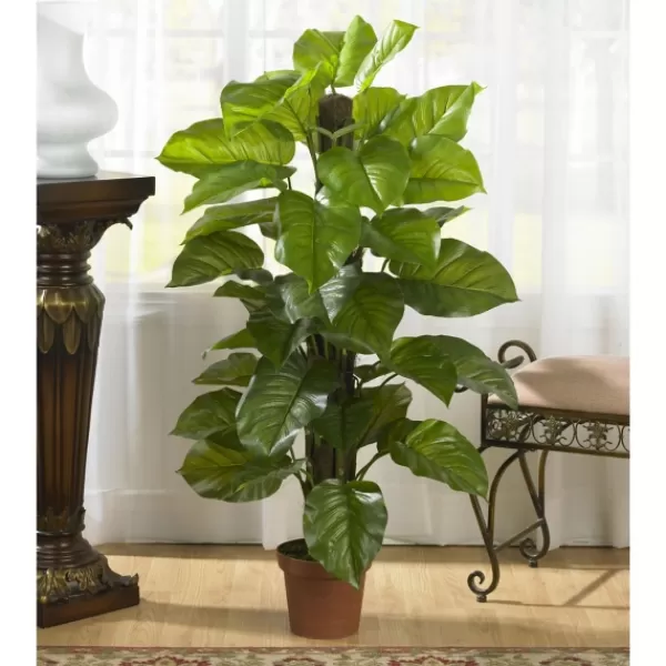 Trees & Topiaries-Kirkland's Home Philodendron In Terra Cotta Planter, 4 Ft.