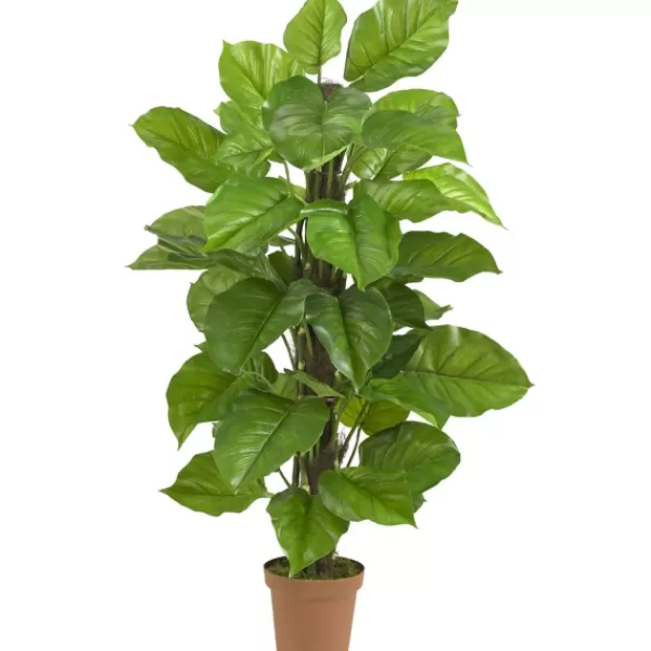 Trees & Topiaries-Kirkland's Home Philodendron In Terra Cotta Planter, 4 Ft.