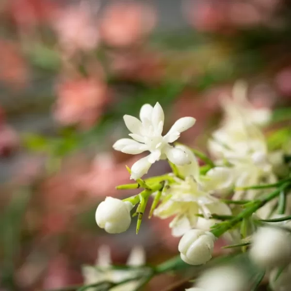 Stems & Bouquets-Kirkland's Home Pink And White Wax Flower Bundles, Set Of 2 Green/Pink/White