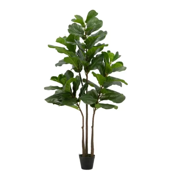 Trees & Topiaries-Kirkland's Home Potted English Banjo Fig Tree