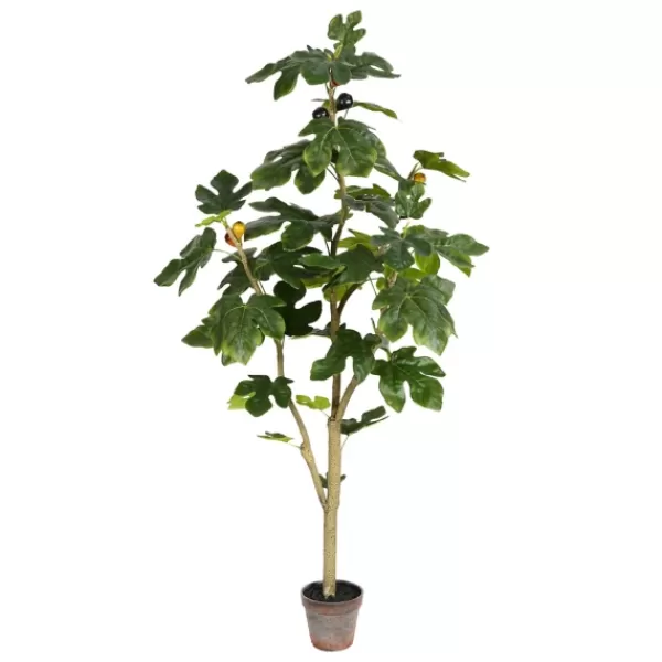 Trees & Topiaries-Kirkland's Home Potted Fig Fruit Tree, 4 Ft.