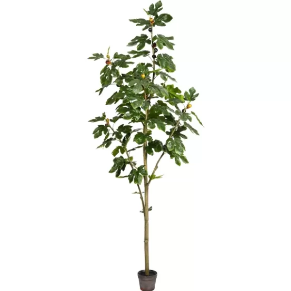 Trees & Topiaries-Kirkland's Home Potted Fig Tree, 7 Ft.