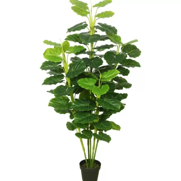 Trees & Topiaries-Kirkland's Home Potted Green Philodendron Tree