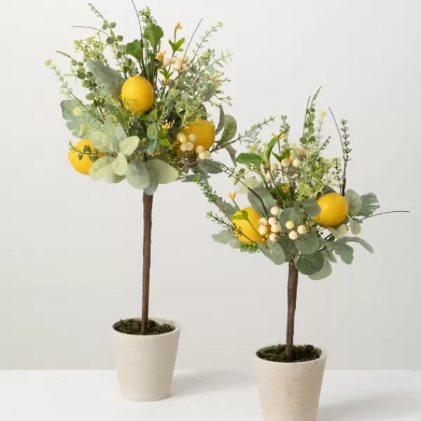 Trees & Topiaries-Kirkland's Home Potted Lemon And Berry Herb Trees, Set Of 2
