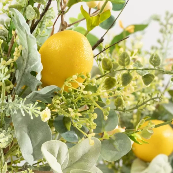 Trees & Topiaries-Kirkland's Home Potted Lemon And Berry Herb Trees, Set Of 2