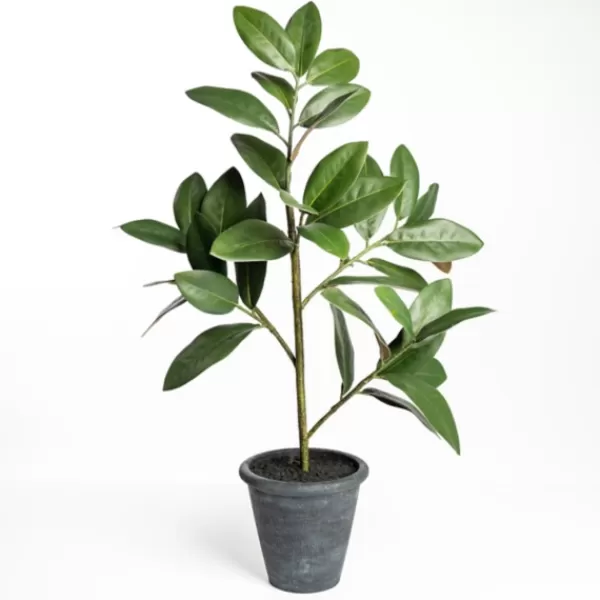 Trees & Topiaries-Kirkland's Home Potted Magnolia Tree