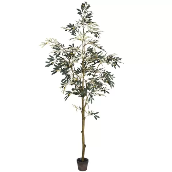 Trees & Topiaries-Kirkland's Home Potted Olive Tree, 7 Ft.