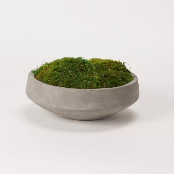 Arrangements & Greenery-Kirkland's Home Preserved Mood Moss In Round Cement Bowl Green/Gray