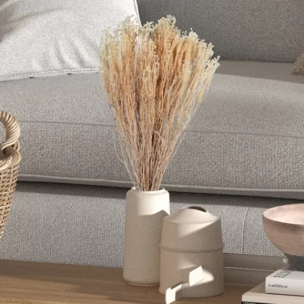 Stems & Bouquets-Kirkland's Home Preserved Natural Bleached Staavia Bush Tan