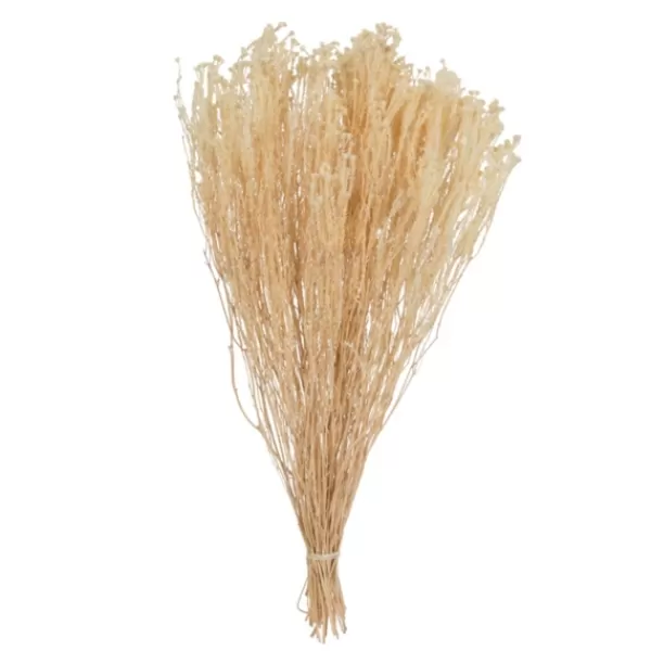 Stems & Bouquets-Kirkland's Home Preserved Natural Bleached Staavia Bush Tan