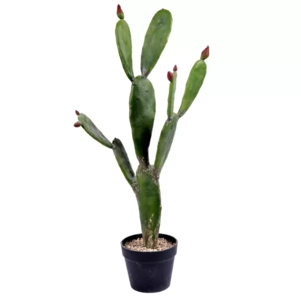 Trees & Topiaries-Kirkland's Home Prickly Pear Cactus In Black Pot