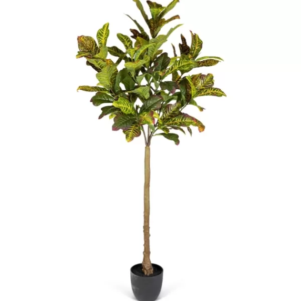 Trees & Topiaries-Kirkland's Home Real Touch Croton Leaf Tree In Black Pot, 6 Ft.
