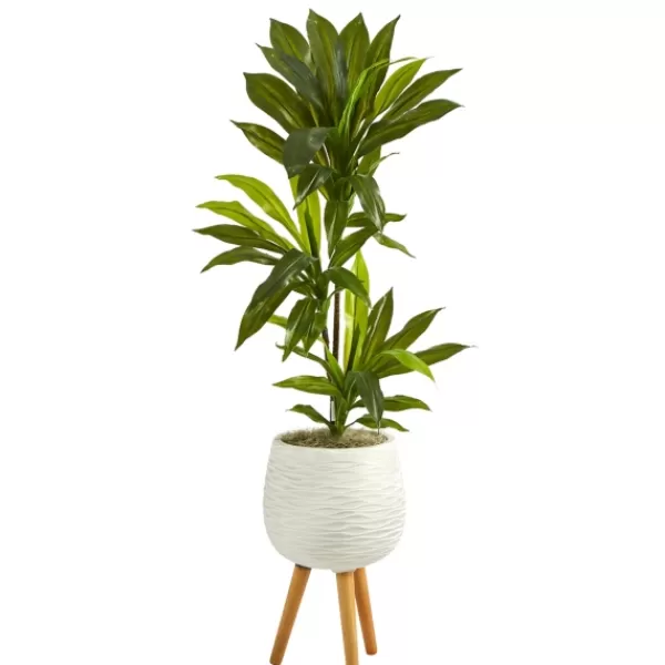 Trees & Topiaries-Kirkland's Home Real Touch Dracaena In Mossy Tripod Planter
