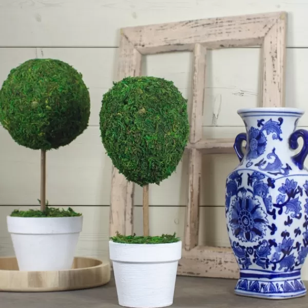 Trees & Topiaries-Kirkland's Home Reindeer Moss Ball Topiary In White Pot