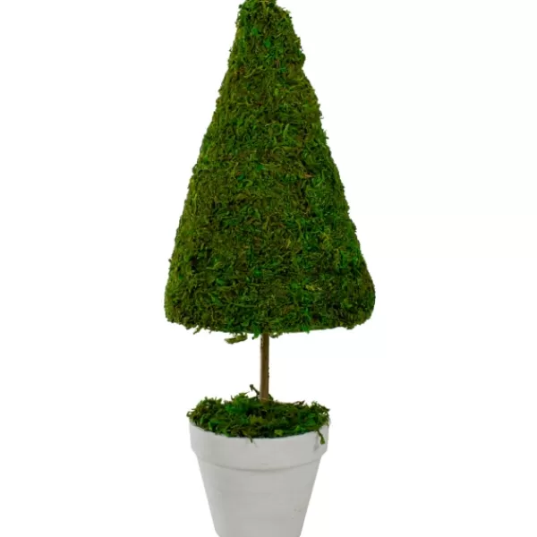 Trees & Topiaries-Kirkland's Home Reindeer Moss Cone Topiary In White Planter