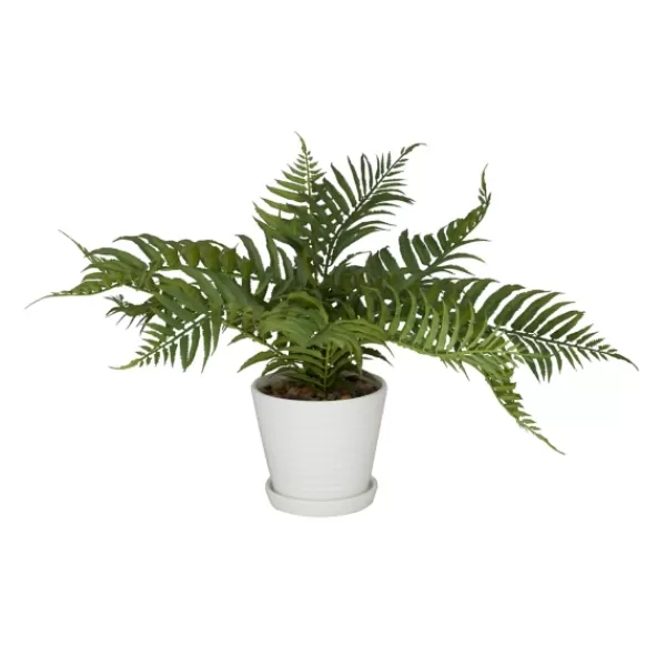 Arrangements & Greenery-Kirkland's Home River Rock Fern In Ribbed White Planter Green/Blue