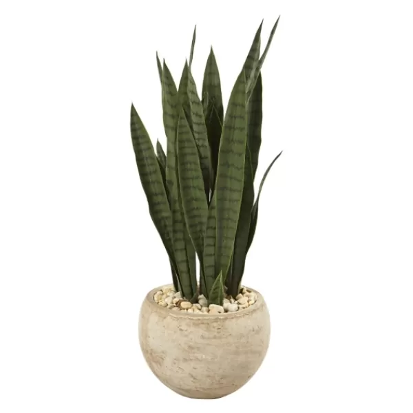 Trees & Topiaries-Kirkland's Home Sanserviera River Rock Plant In Sand Planter