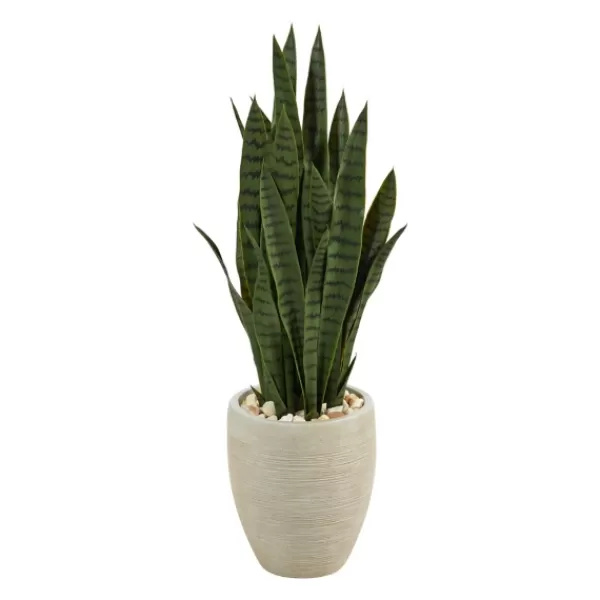 Trees & Topiaries-Kirkland's Home Sansevieria Arrangement In Sand Planter