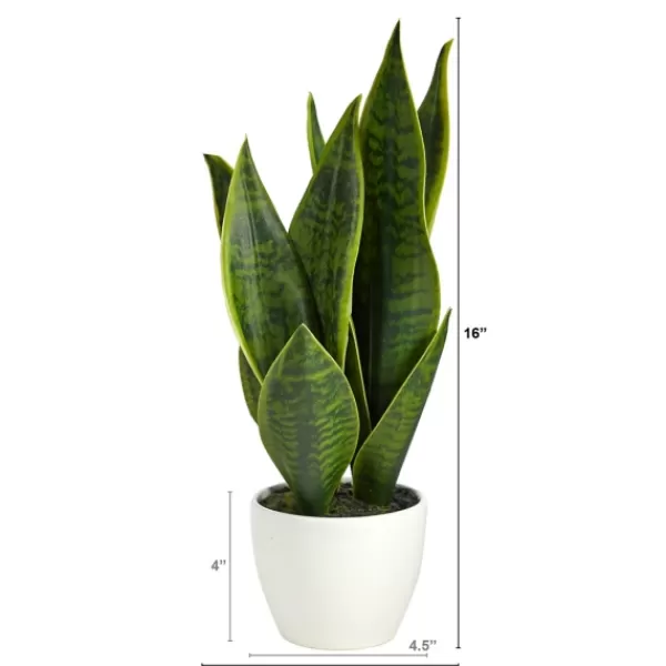 Arrangements & Greenery-Kirkland's Home Sansevieria Arrangement In White Planter Gray/White