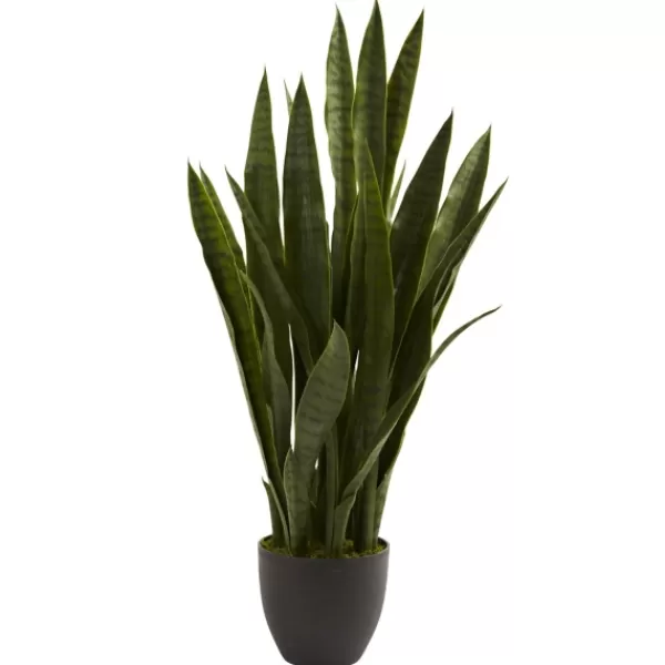 Trees & Topiaries-Kirkland's Home Sansevieria Floor Plant In Black Planter