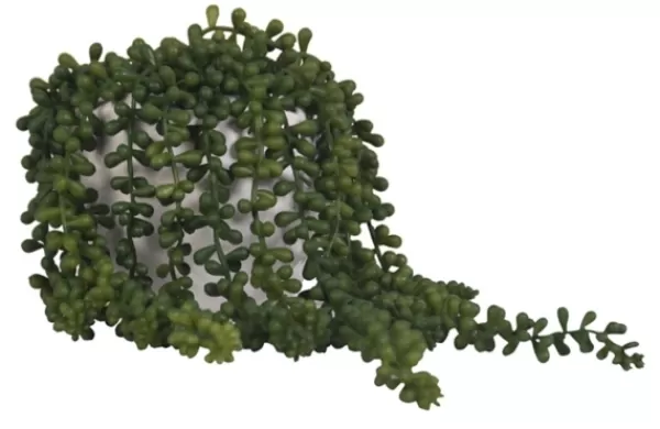 Arrangements & Greenery-Kirkland's Home Seedum In White Bowl Planter Green