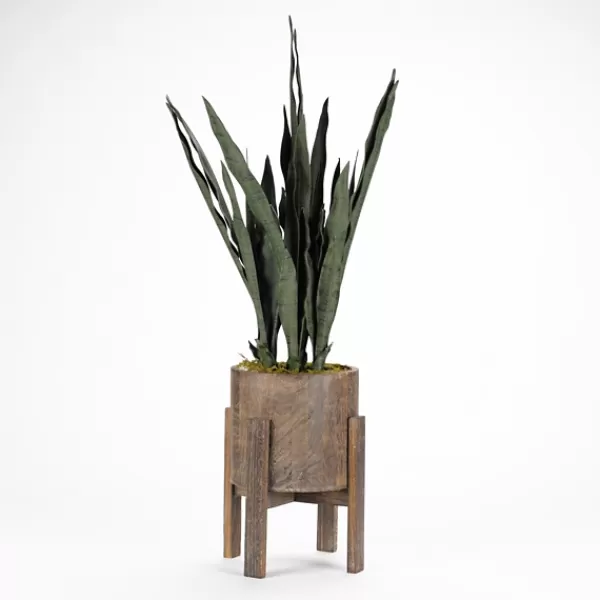 Arrangements & Greenery-Kirkland's Home Snake Plant In Round Wooden Planter Stand, 36 In. Green