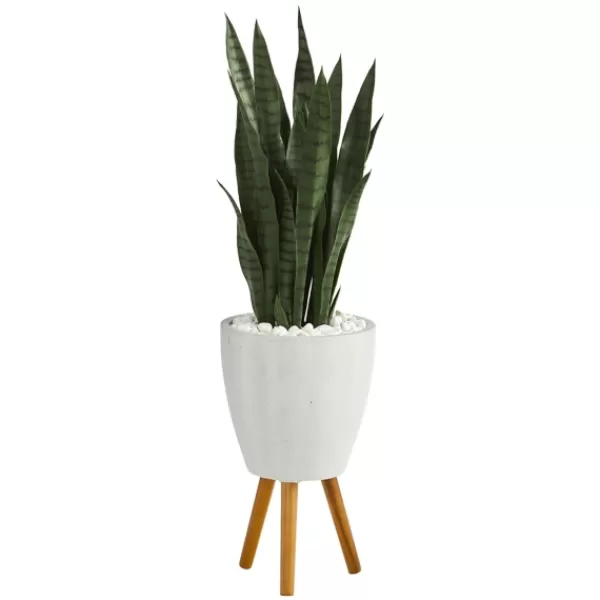 Trees & Topiaries-Kirkland's Home Snake Plant In White Tri-Pod Planter