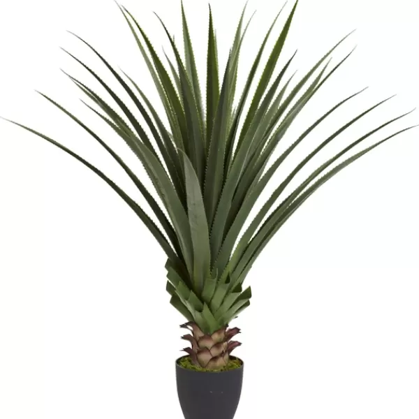 Arrangements & Greenery-Kirkland's Home Spiked Agave Plant In Nursery Planter Green/Black