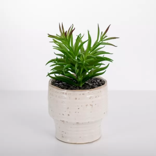 Arrangements & Greenery-Kirkland's Home Succulent In Ribbed White Planter Green/White