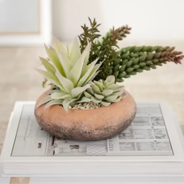 Arrangements & Greenery-Kirkland's Home Succulent Mix In Round Terracotta Planter Green/Orange