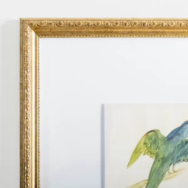 Framed Art-Kirkland's Home The Dark Green Bird Framed Art Print White/Green