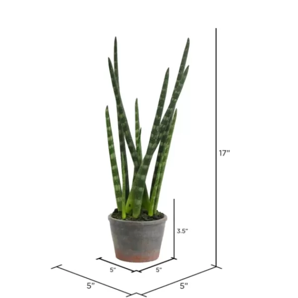 Arrangements & Greenery-Kirkland's Home Tiger Tail Succulent In Distressed Planter Green