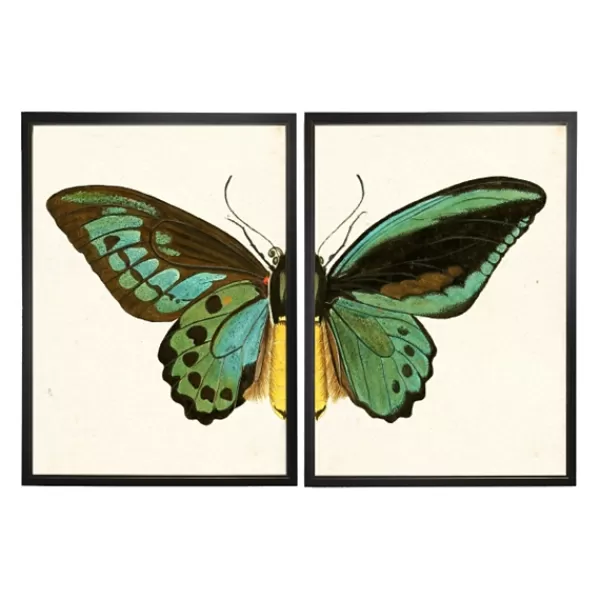 Framed Art-Kirkland's Home Turquoise Butterfly Framed Art Prints, Set Of 2 Multi