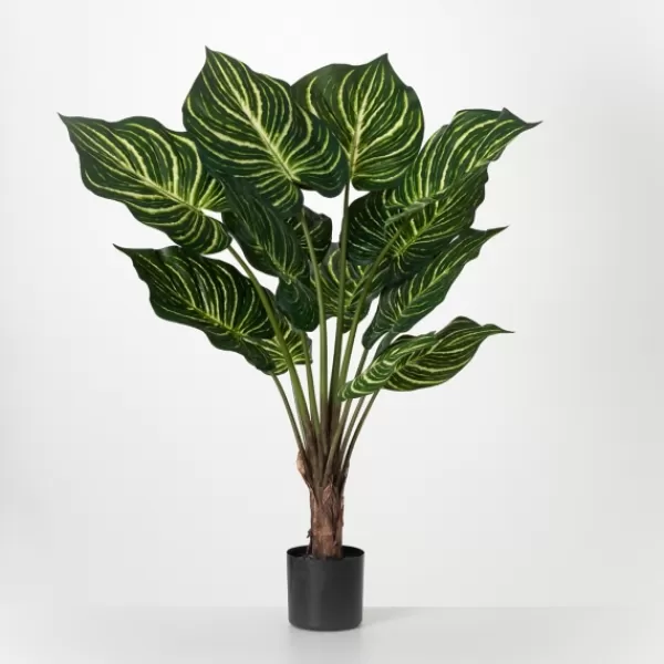 Trees & Topiaries-Kirkland's Home Veined Zebra Palm Potted Plant