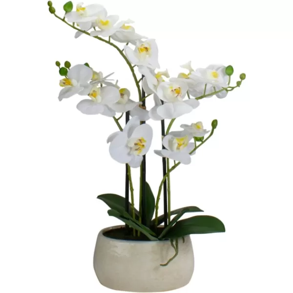 Arrangements & Greenery-Kirkland's Home White Orchid In Round Ceramic Bowl White/Green